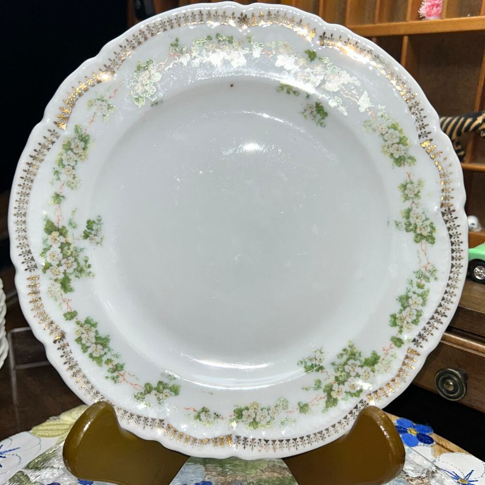 Antique Germany Porcelain Plates-Set of 6